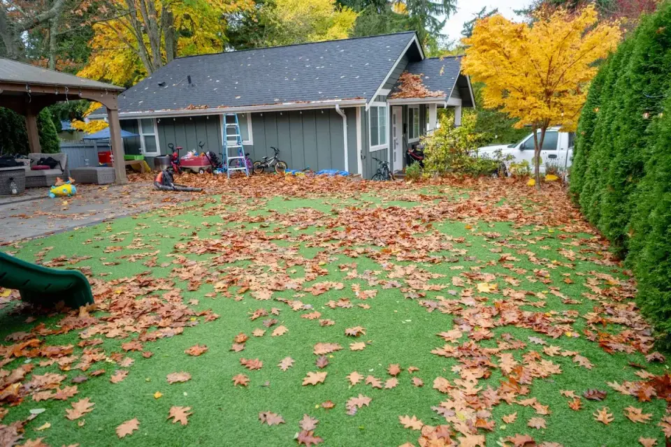 Before - Property Transformation 1