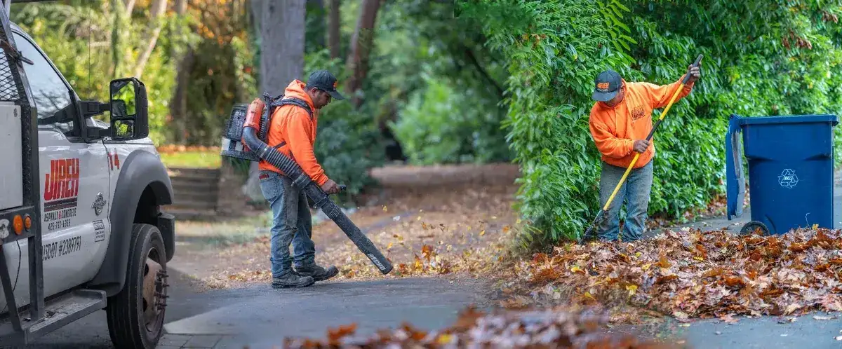 Seasonal Cleaning