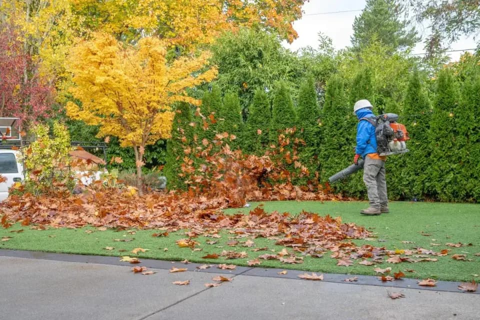 Professional team removing leaves