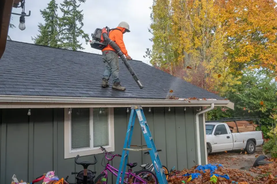 Leaf removal team