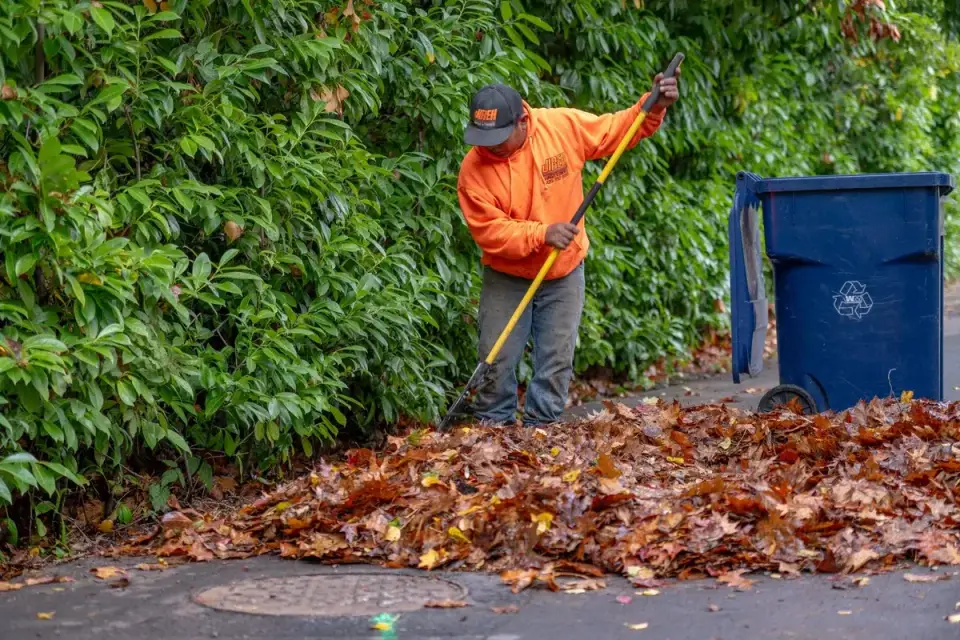 Professional cleanup