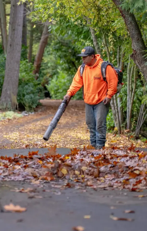 Fall yard service