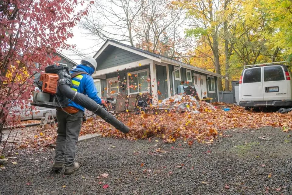 Debris removal