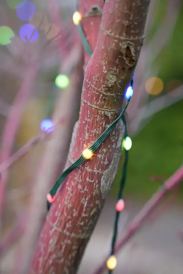 Holiday lights on home exterior