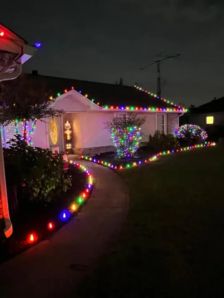 Tree and landscape holiday lighting