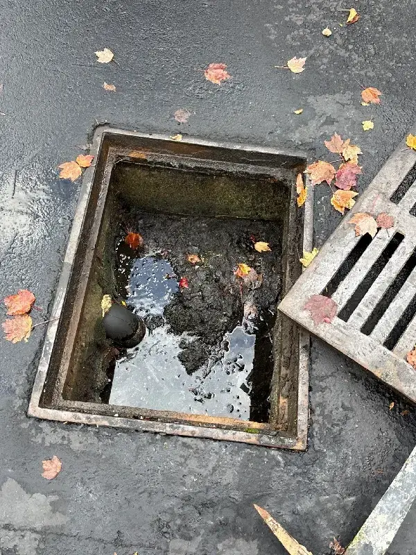 Before - Catch basin cleaning transformation 1