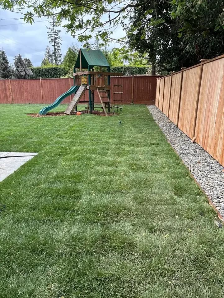 Sod Installation 1