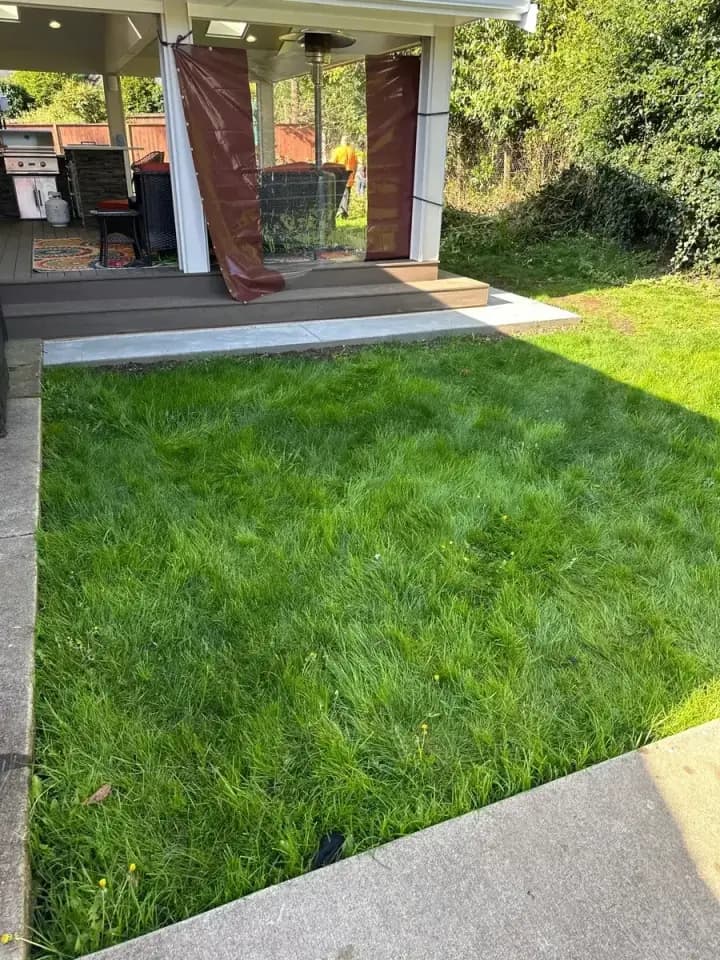Sod Installation 2