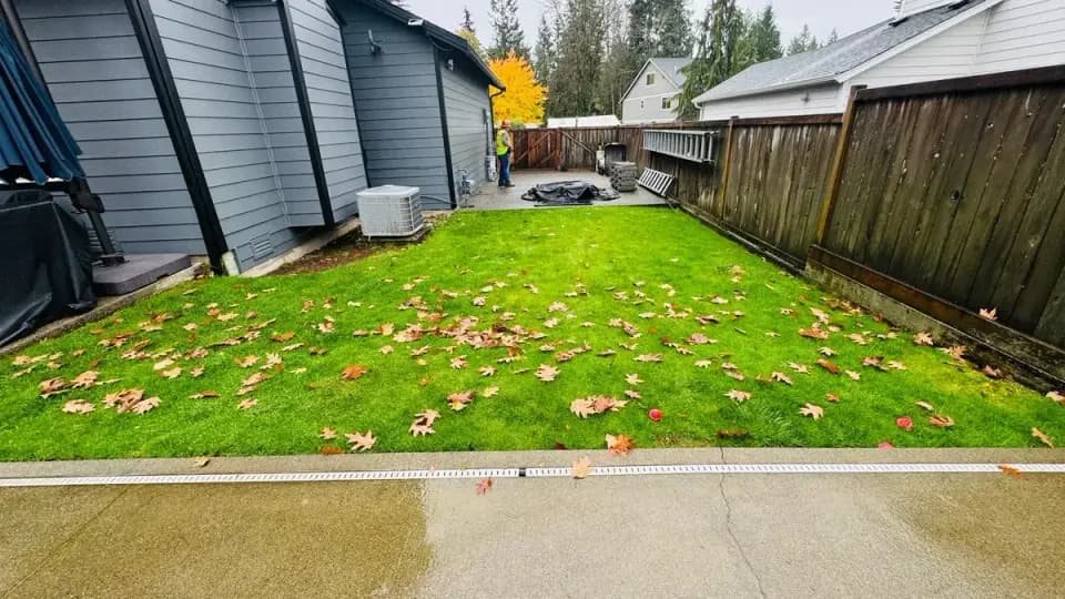 Sod Installation 3
