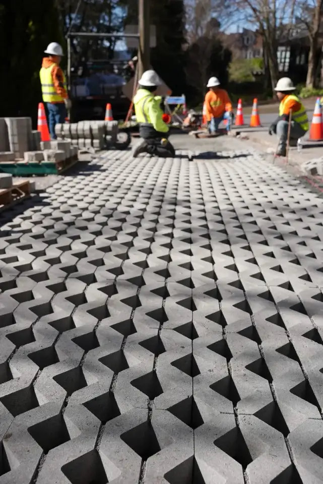 Turfstone Pavers 3