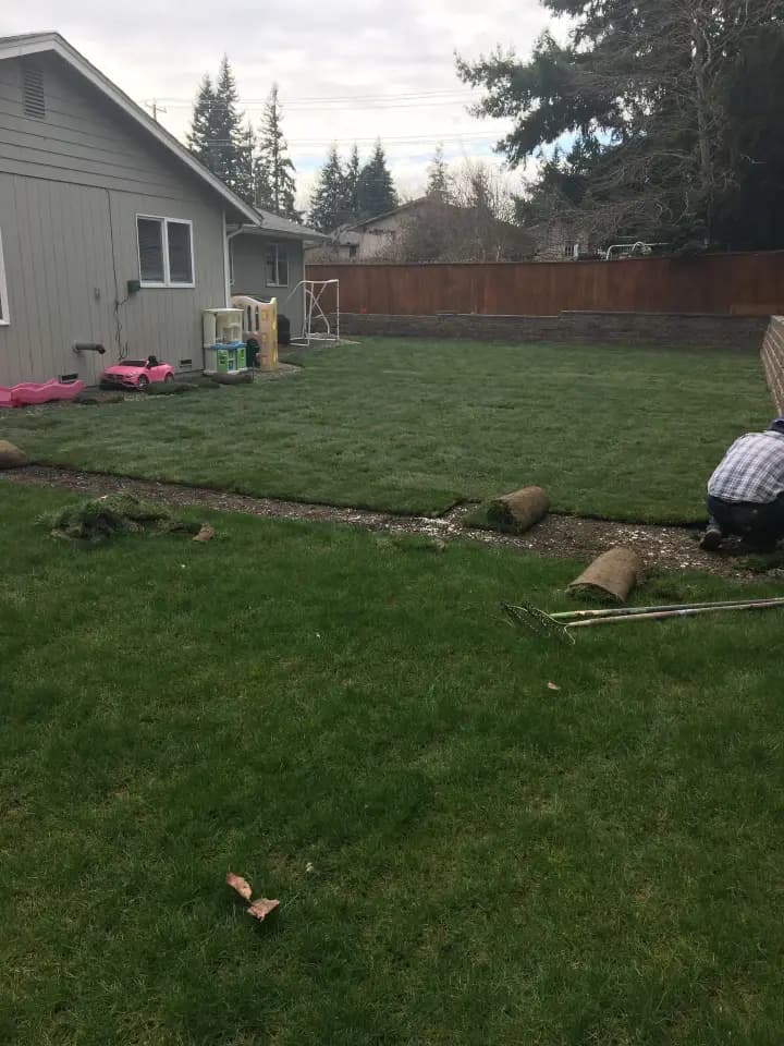Landscaping & Artificial Grass 2