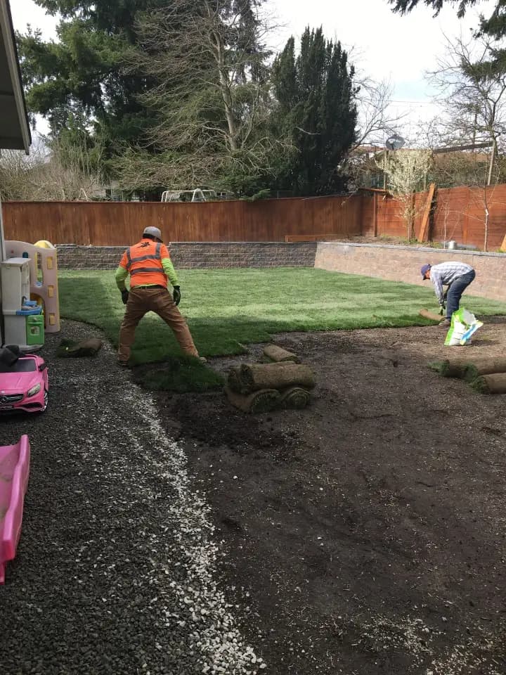 Landscaping & Artificial Grass 3
