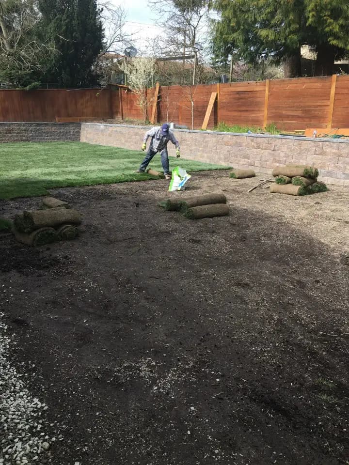 Landscaping & Artificial Grass 4